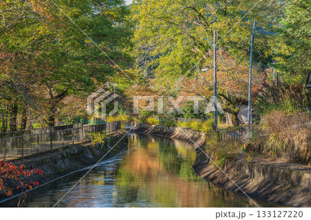 琵琶湖疏水 京都市 琵琶湖疏水 京都市 133127220