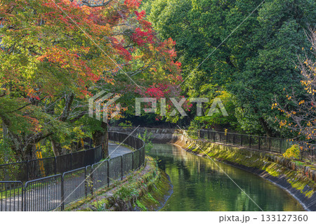 琵琶湖疏水 京都市 琵琶湖疏水 京都市 133127360