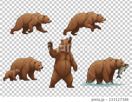 いろいろなクマのイラストセット いろいろなクマのイラストセット 133127386