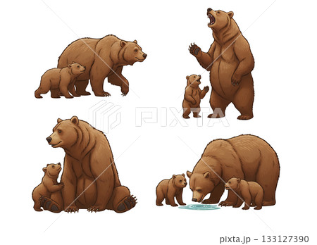 いろいろなクマのイラストセット いろいろなクマのイラストセット 133127390