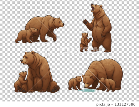 いろいろなクマのイラストセット いろいろなクマのイラストセット 133127390