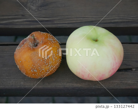 Fresh Versus Rotten Apples: Nature's Life Cycle Fresh Versus Rotten Apples: Nature's Life Cycle 133127442