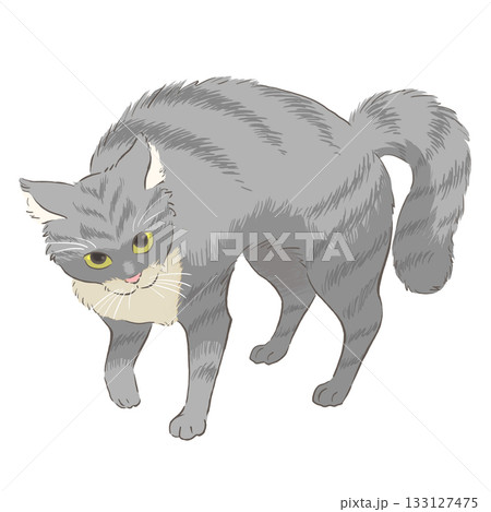 やんのかステップをするサバトラ猫のイラスト やんのかステップをするサバトラ猫のイラスト 133127475