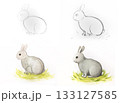 Rabbit drawing tutorial illustration. Bunny sketch painting step-by-step masterclass. Art education crafts children Easter. Watercolor style white background 133127585
