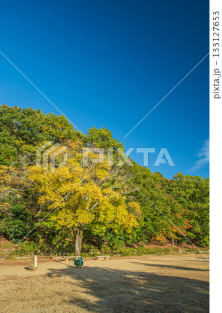 秋の琵琶湖疏水　疏水公園　京都市山科区 133127653