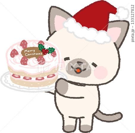 クリスマスケーキを持って微笑むシャムネコ 133127812