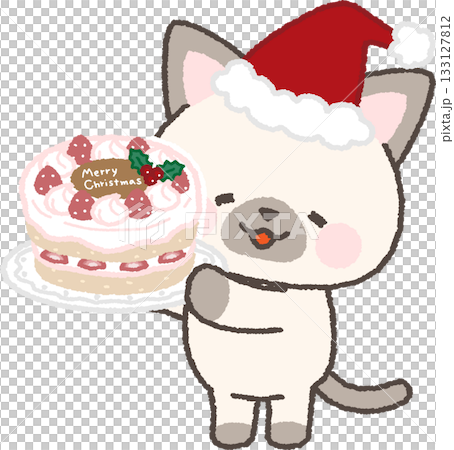 クリスマスケーキを持って微笑むシャムネコ 133127812