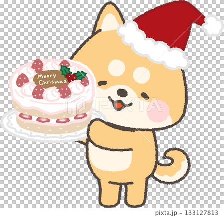 一隻笑容燦爛的棕色柴犬抱著聖誕蛋糕 133127813