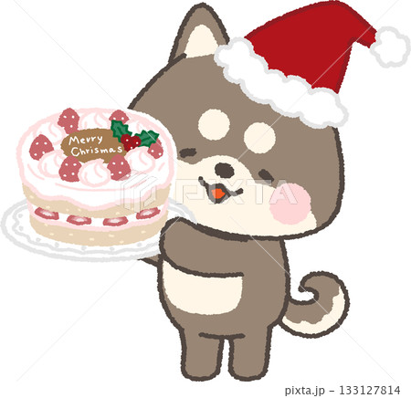 クリスマスケーキを持って微笑む黒柴犬 クリスマスケーキを持って微笑む黒柴犬 133127814