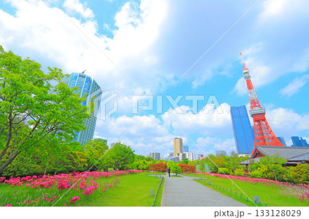 東京都港区、東京タワーと花壇の風景 東京都港区、東京タワーと花壇の風景 133128029