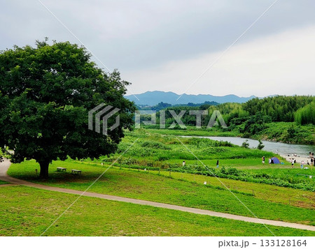 大木、山、川、のどかな田舎の風景 133128164