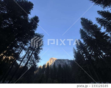 11月のヨセミテ、木立に囲まれたハーフドーム 133128185