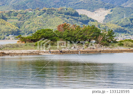 蒲郡市の西浦にある松島の風景(愛知県) 蒲郡市の西浦にある松島の風景(愛知県) 133128595