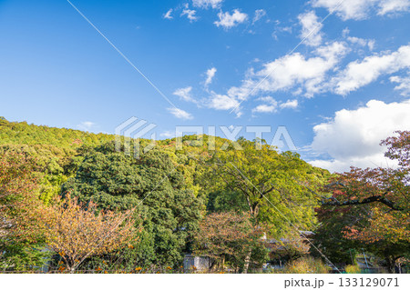 琵琶湖疏水 諸羽トンネル出口付近 京都市 琵琶湖疏水 諸羽トンネル出口付近 京都市 133129071