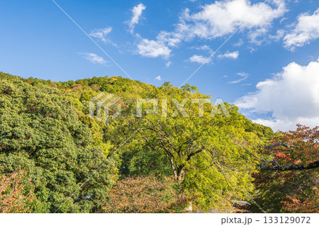 琵琶湖疏水　諸羽トンネル出口付近　京都市 133129072