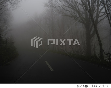 初冬に深い霧に包まれた広葉樹林の車道 初冬に深い霧に包まれた広葉樹林の車道 133129185