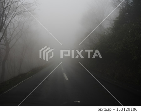初冬に深い霧に包まれた広葉樹林の車道 133129186