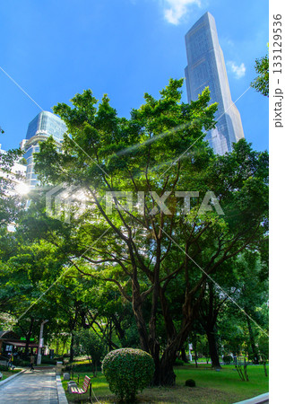 中国にある大都市広州のとても美しい街並み風景 中国にある大都市広州のとても美しい街並み風景 133129536