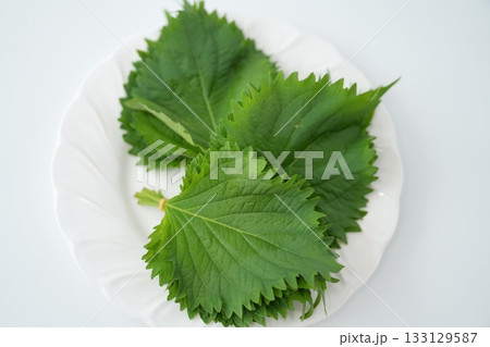 たっぷり使える大葉の束（愛知県産）- 香りと彩どりをふんわりアクセントに 133129587