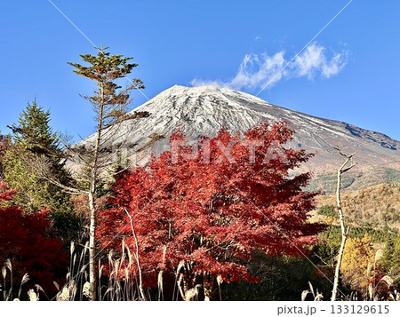 紅葉と富士山 紅葉と富士山 133129615