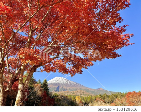 秋色に染まる紅葉と富士山 秋色に染まる紅葉と富士山 133129616