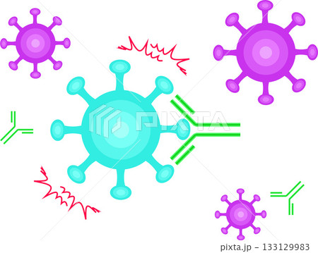 抗体がウイルスを中和するイラスト 抗体がウイルスを中和するイラスト 133129983