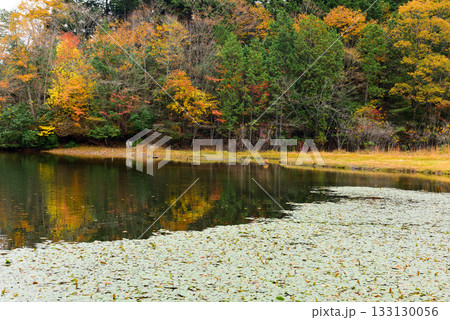 東三河キララの森 東三河キララの森 133130056