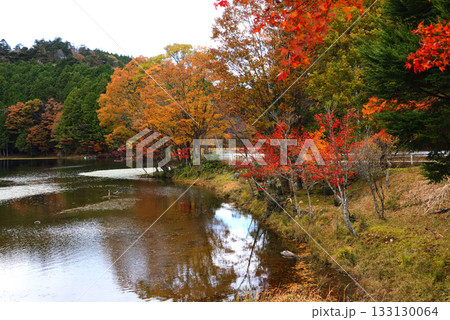 東三河キララの森 東三河キララの森 133130064