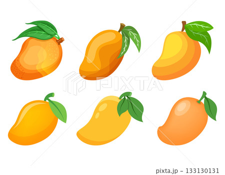 Fresh mango fruit icon set collection in flat style. Tropical plant vector illustration on isolated background. Healthy food sign business concept. 133130131
