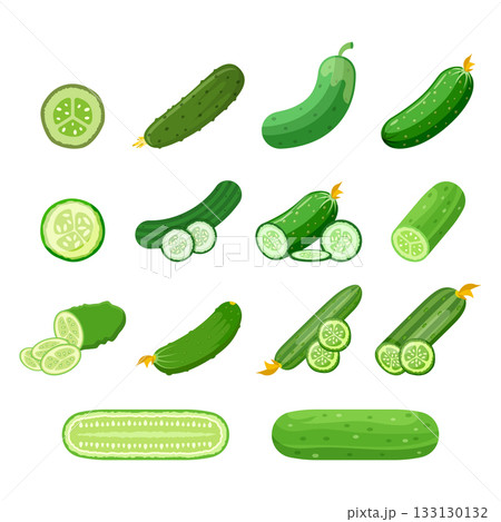 Cucumber vegetable icon set collection in flat style. Gherkin plant vector illustration on isolated background. Healthy food sign business concept. 133130132