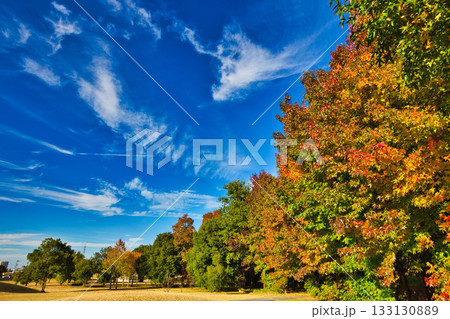 秋深まる 133130889