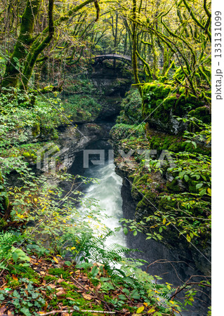 Stormy water flow. Forest waterfall, Gachedili Canyon Stormy water flow. Forest waterfall, Gachedili Canyon 133131099