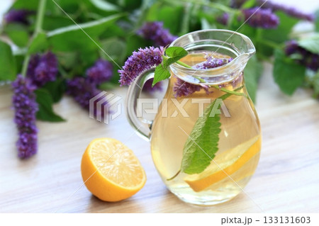 Herbal tea from medicinal herb Agastache foeniculum, also called giant hyssop or Indian mint. Herbal tea from medicinal herb Agastache foeniculum, also called giant hyssop or Indian mint. 133131603