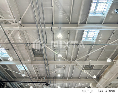 インダストリアルスタイルの天井 インダストリアルスタイルの天井 133131696