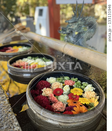 花手水 133131946