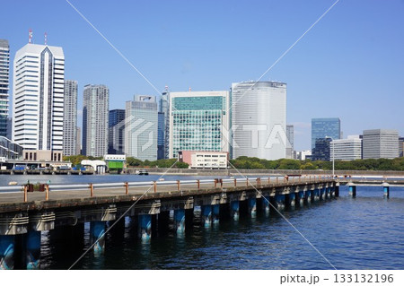 東京都中央区豊海町から汐留方面を臨む風景 東京都中央区豊海町から汐留方面を臨む風景 133132196