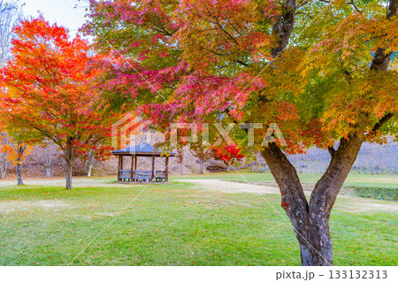 【山梨県】秋の瑞牆山(みずがき山)自然公園の夜明け 【山梨県】秋の瑞牆山(みずがき山)自然公園の夜明け 133132313