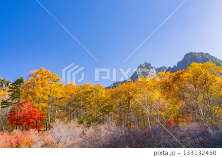 【山梨県】朝の光が眩しい瑞牆山(みずがき山)自然公園・瑞牆山 【山梨県】朝の光が眩しい瑞牆山(みずがき山)自然公園・瑞牆山 133132450