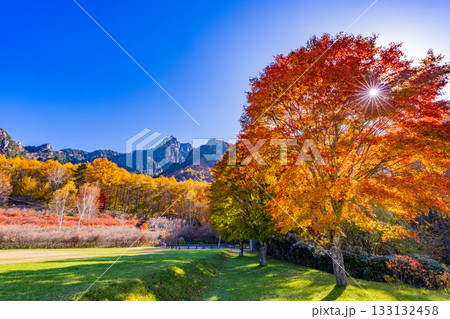 【山梨県】朝の光が眩しい瑞牆山（みずがき山）自然公園・瑞牆山 133132458