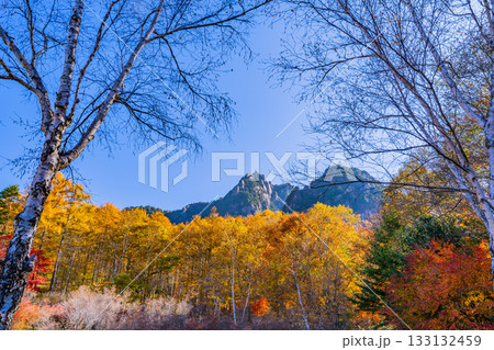 【山梨県】朝の光が眩しい瑞牆山（みずがき山）自然公園・瑞牆山 133132459