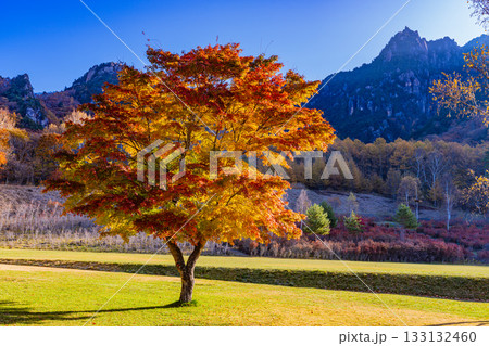 【山梨県】朝の光が眩しい瑞牆山（みずがき山）自然公園・瑞牆山 133132460