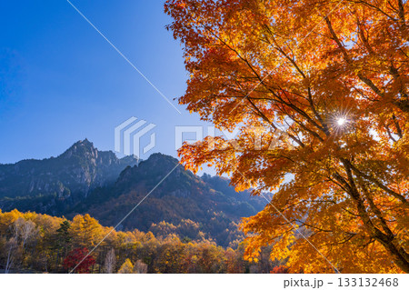 【山梨県】朝の光が眩しい瑞牆山（みずがき山）自然公園・瑞牆山 133132468