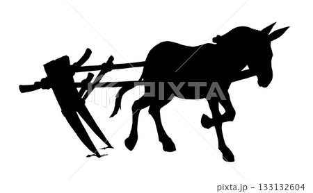Vector drawing. Cute old mule Vector drawing. Cute old mule 133132604