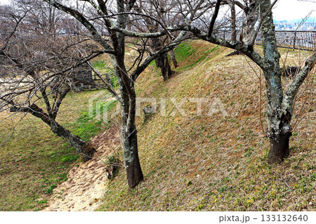 白河小峰城 本丸の土塁【福島県白河市】 133132640