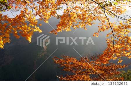 紅葉の始まった山 ナメゴ谷秋色 紅葉の始まった山 ナメゴ谷秋色 133132651