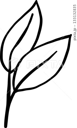 Two Leaves Outline balck and white hand drawn Two Leaves Outline balck and white hand drawn 133132835