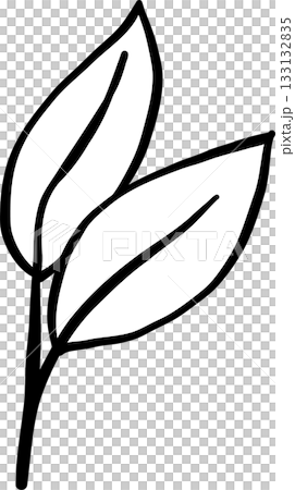 Two Leaves Outline balck and white hand drawn Two Leaves Outline balck and white hand drawn 133132835