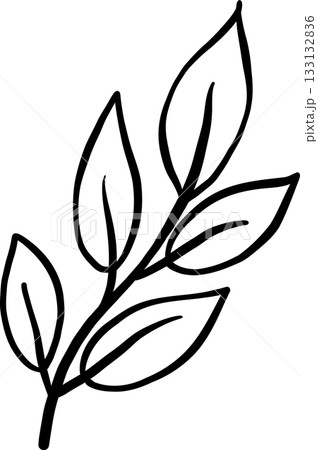 Leaves Branch Outline balck and white hand drawn 133132836