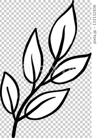 Leaves Branch Outline balck and white hand drawn 133132836