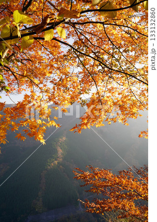 紅葉の始まった山 ナメゴ谷秋色 133132860